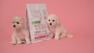 Nature's Protection White Dogs Starter All Breed, SALMON - small kibbles