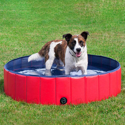 Swimming pool til hunde med rød kant fra GroomUs