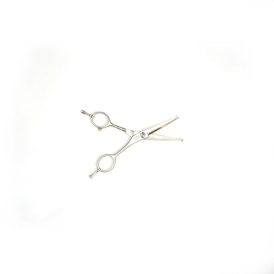 KISS Grooming Curved w/round tip 5.0'' Dog scissors 5 Star series - Quality scissors