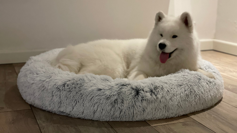 Luxury donut dog bed with zipper and removable cover By CBK in Frozen White 